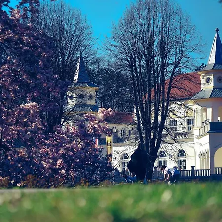 Bombonica * Banja Koviljača